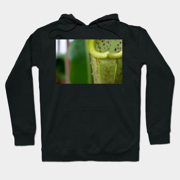 Beautiful carnivorous plant Hoodie by chiaravisuals